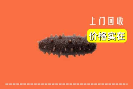 长治市沁源回收海参