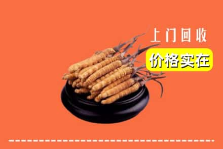 长治市沁源回收冬虫夏草